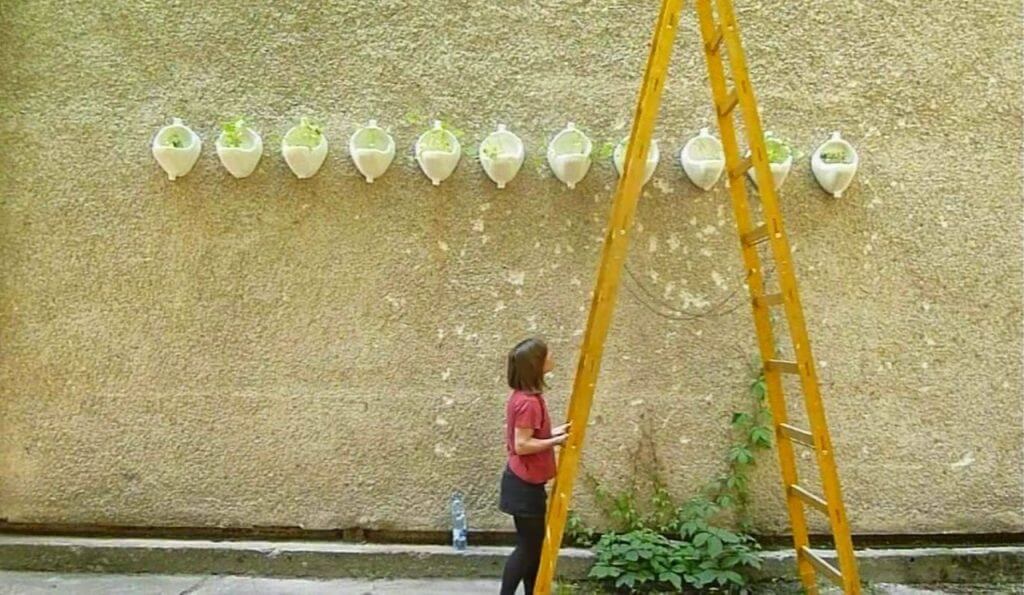 Gardening with Pumpkins - work of Krisztina Arláth