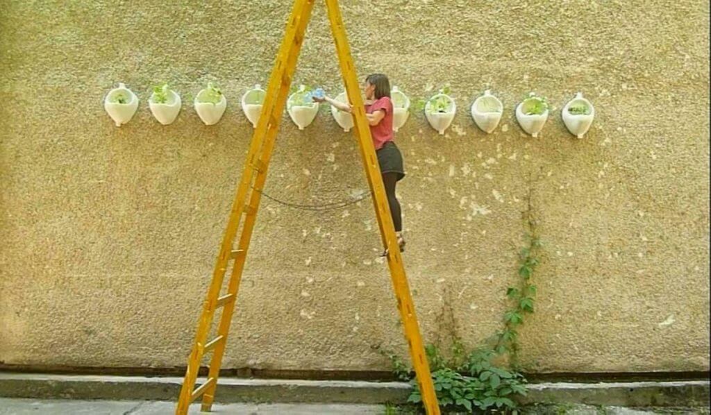 Gardening with Pumpkins - work of Krisztina Arláth
